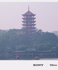 ��ʽ԰�ַ�-�̽�԰