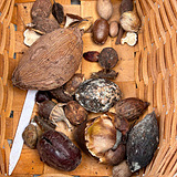 �ھ����񵽵��������