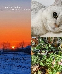 �������̳������С��