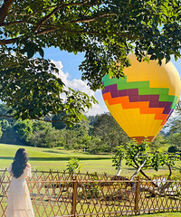 ��˫���ɴ���ů���ε�2��������Ŀǰ��������ۣ�ʣ��λ���࿩