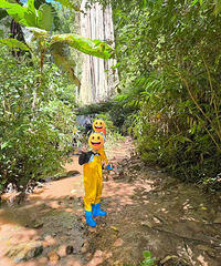 ��˫���ɴ���ů���ε�2��������Ŀǰ��������ۣ�ʣ��λ���࿩