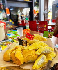 ƽƽ���� �ļ����� . ����ɽ�� �ĳ�