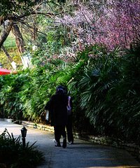 ��ĩȥ�׹������Ҷ�ɹ̫��