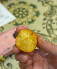 ������óԵ�ˮ����ֻ������