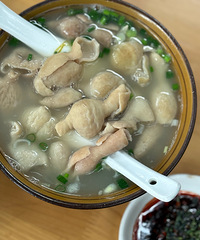 �ڱ���֮ǰȥ�ĺϴ����Զ����ʳ�