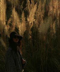 ȥ��֦�������������ܶ���ů������ʳˮ���Ե���