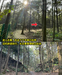 ������ƺС���ߡ��������� �� ��С��ͽ����·