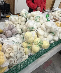 �����������¿��˸��ϳ������������ֲ��ˣ����ȴ���