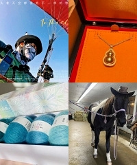 �޷����ѽ����İ���