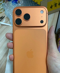 [����]˭��ƻ��12��17�����壡����˿��������Ҳ�غÿ�