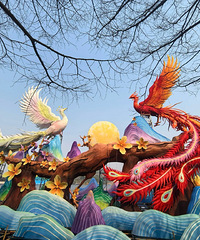 ����԰��԰�ƻ���ǰ��̽���ܣ����Ʊ�����ȥ����