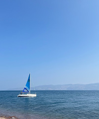 ����985��211�𣿡����ھ�ҵ���ƾͿ�ѧ����