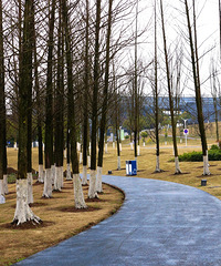 ȥ���º���÷��