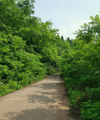 ������ף�����顫