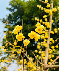 ������ͽ��·�ߡ������۶��տ���÷