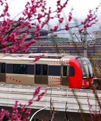 ��Ҳ�п���������г�