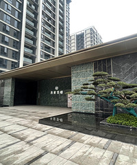 ���Ϸ��ſ�������ֵ10�򣡱��Ϸ�����������