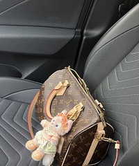 26����LV speedy25��ԭ�����Ұ�