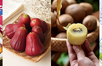 ���������33������ˮ�����Գ���������