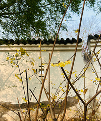 ������ͽ��·�ߡ������۶��տ���÷