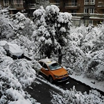 ������ȫ��������ѩ��