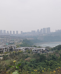 [����]��λ��ȳ�����ʲôʱ����������أ��о���ͨ���Ǻܷ���