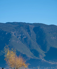 2026�����Լ�ȥ��� 1480Ԫȥ����ˣ5��