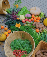 ������ʣ�޼��������ˣ����ڸ�ɶ��������Щ����ʱ��