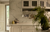 ������Գ���һ��Ҫ�и��е�̨������ʵ�û��ܳ�Ƭ