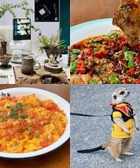 ����������Ҳ͹ݣ����ѳ����������