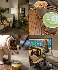 �����峬���ԵĿ��ȹ�