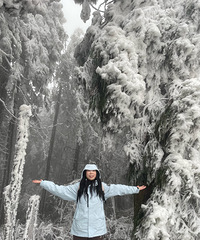 ĦΧɽ��ѩһ���ٴ��ǣ��а���Ƭ��ڡ����һ����̵Ľ�ѵ