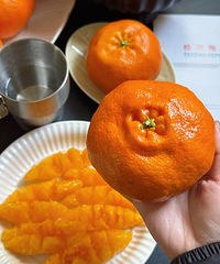 [�Ƽ�]���˸�ƽ���ٲ����ҰҸ��ˣ���֭���۳��𿰳������컨��