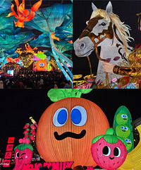 Ϊ�ˡ������ơ����Թ��ƻᣬ��һ����ɽ�˺�