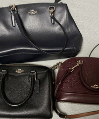 16�����3��coach��������ʱ��������