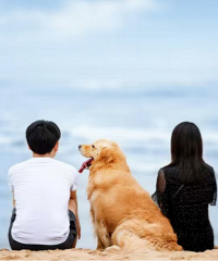 ����ʮ�꣬�Һ����