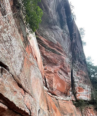 �����Բ��