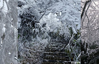 ĦΧɽ���а���Ƭ��ڡ����һ����̵Ľ�ѵ