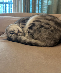 ��û�к�С�ڵ����ֺܺ�����ĵط��Ƽ�