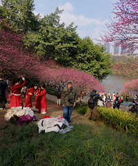 ���ƺ�������