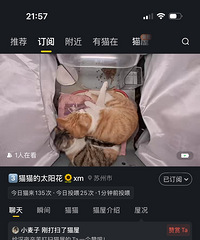 �����è�ݿ���һֱ���ܾ�