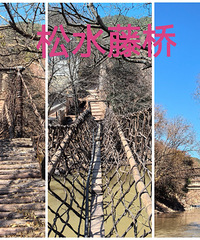 [����]�߱������ʮ��������ʹ�õ�������ţ���߲�ֹ�ж���