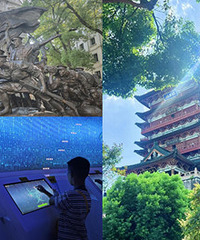 ����ȥӢ�۳ǡ����ϲ�������ʷ����ʳ