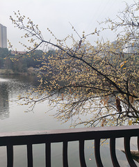 ���ӵ���ĩ�ɼ������ˣ��ܷ�A+���Ҿ��û���