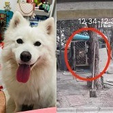 �ܺ����������С��