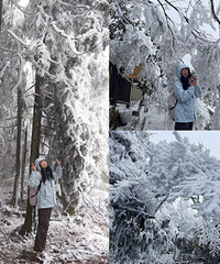 ĦΧɽ�����а���Ƭ��ڡ����һ����̵Ľ�ѵ