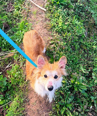 ���ֿ»���������Ҫ��