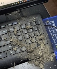 ���ڹ�˾ͱ��ʲô¦��