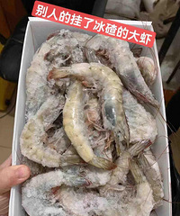 ���ζ���Ϻ������50�����ʽ�ʵ�����㣬�ڸ�Q��