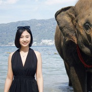 �Ƶ���ҵ��������